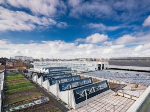 3.3 Urban farming and local organic products in and near Brussels